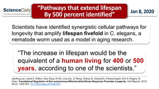 Scientists have identified synergistic cellular pathways for
longevity that amplify lifespan fivefold in C. elegans, a
nematode worm used as a model in aging research.
“The increase in lifespan would be the
equivalent of a human living for 400 or 500
years, according to one of the scientists.”
Jianfeng Lan, Jarod A. Rollins, Xiao Zang, Di Wu, Lina Zou, Zi Wang, Chang Ye, Zixing Wu, Pankaj Kapahi, Aric N. Rogers, Di
Chen. Translational Regulation of Non-autonomous Mitochondrial Stress Response Promotes Longevity. Cell Reports, 2019;
28 (4): 1050 DOI: 10.1016/j.celrep.2019.06.078
“Pathways that extend lifespan
By 500 percent identified” Jan 8, 2020
 