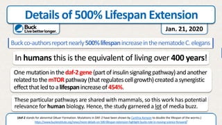 Details of 500% Lifespan Extension
https://www.buckinstitute.org/news/more-details-on-500-lifespan-extension-highlight-bucks-role-in-moving-science-forward/
Jan. 21, 2020
Buckco-authorsreportnearly500%lifespanincreaseinthenematodeC.elegans
These particular pathways are shared with mammals, so this work has potential
relevance for human biology. Hence, the study garnered a lot of media buzz.
In humans this is the equivalent of living over 400 years!
One mutationinthedaf-2gene(partofinsulinsignalingpathway)andanother
relatedtothemTORpathway(thatregulatescellgrowth)createdasynergistic
effectthatledtoalifespanincreaseof454%.
(daf-2 stands for abnormal DAuer Formation. Mutations in DAF-2 have been shown by Cynthia Kenyon to double the lifespan of the worms.)
 