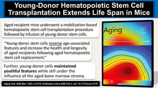Aging Cell. 2020 Mar; 19(3): e13110. Published online 2020 Feb 3. doi: 10.1111/acel.13110
Young-Donor Hematopoietic Stem Cell
Transplantation Extends Life Span in Mice
Further, young‐donor cells maintained
youthful features while still under the
influence of the aged bone marrow stroma.
Aged recipient mice underwent a mobilization‐based
hematopoietic stem cell transplantation procedure
followed by infusion of young‐donor stem cells.
“Young‐donor stem cells reverse age‐associated
features and increase the health and longevity
of aged recipients following aged hematopoietic
stem cell replacement.”
 