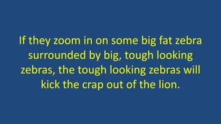 If they zoom in on some big fat zebra
surrounded by big, tough looking
zebras, the tough looking zebras will
kick the crap out of the lion.
 