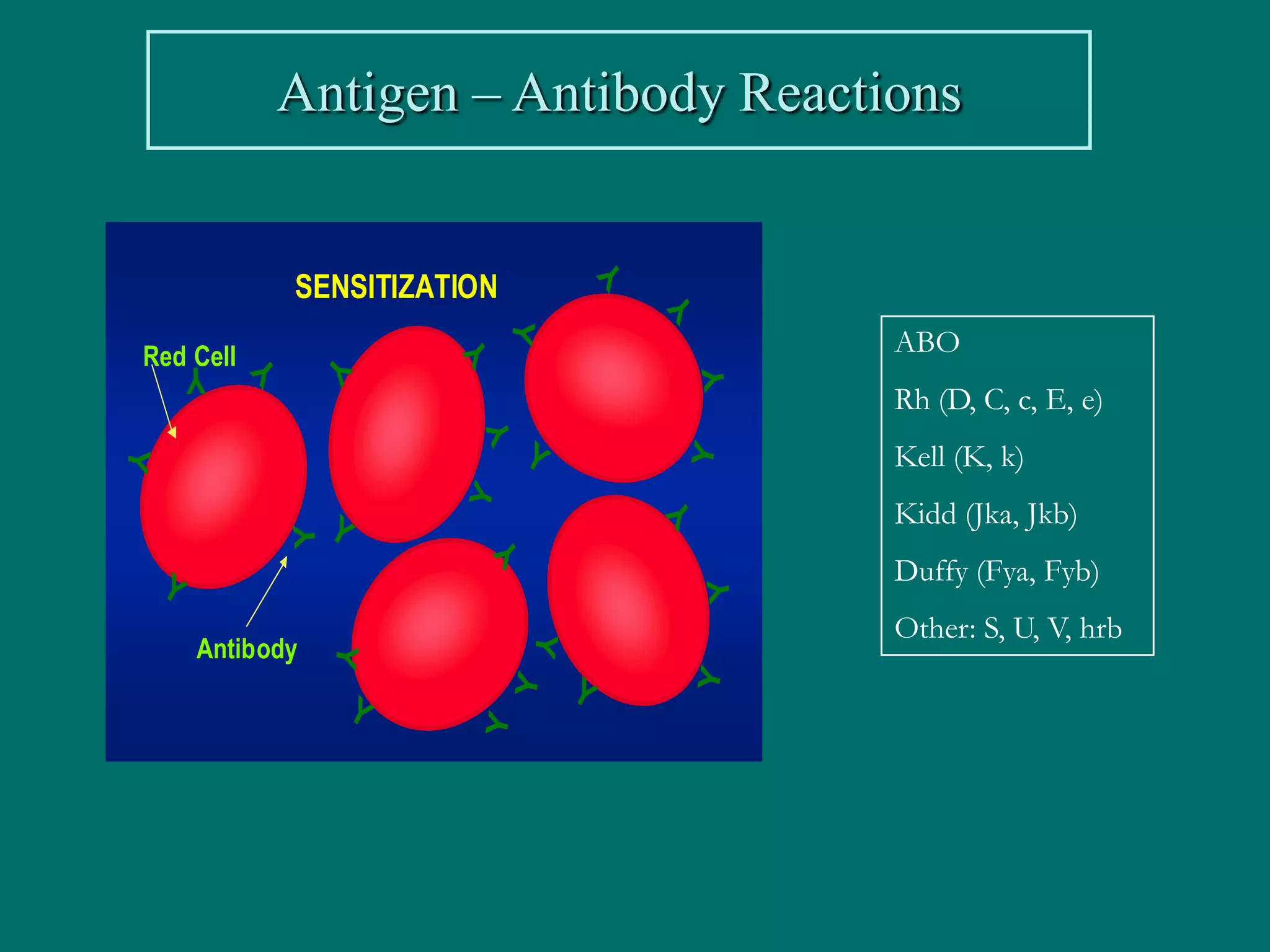 Antigen – Antibody Reactions




                                            Y
                SENSITIZATION




                                                Y
                                Y
                                                        ABO



                            Y
Red Cell
                    Y
            Y

        Y




                                                    Y
                                                        Rh (D, C, c, E, e)


                            Y
                                Y                       Kell (K, k)




                                                Y
Y




                            Y
                                                        Kidd (Jka, Jkb)




                                                Y
                    Y
                Y




                                Y

    Y                                                   Duffy (Fya, Fyb)



                                                    Y
                                                        Other: S, U, V, hrb
                                    Y



        Antibody
                    Y




                                                Y
                                        Y
                                Y




                        Y
                            Y
 