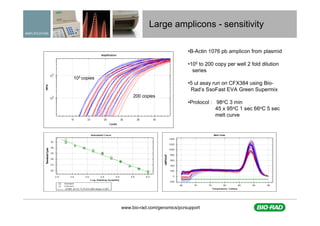 A practical approach to assay design for qPCR | PDF