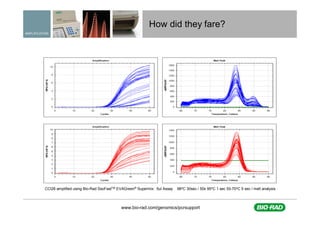 A practical approach to assay design for qPCR | PDF