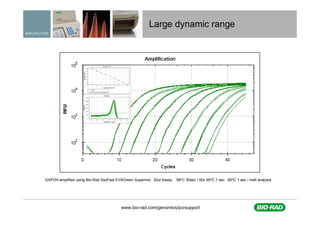 A practical approach to assay design for qPCR | PDF