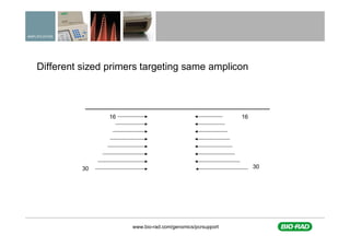 A practical approach to assay design for qPCR | PDF