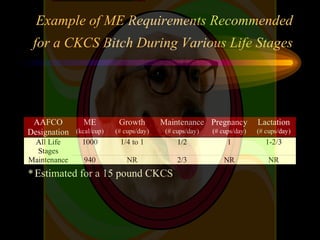 Example of ME Requirements Recommended
for a CKCS Bitch During Various Life Stages
*Estimated for a 15 pound CKCS
AAFCO
De...