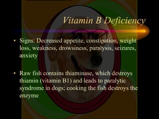 what vitamin deficiency causes seizures in dogs