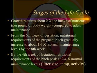 Stages of the Life Cycle
• Growth requires about 2 X the intake of nutrients
(per pound of body weight) compared to adult
...