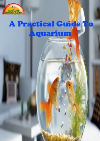 A Practical Guide To
Aquarium
 