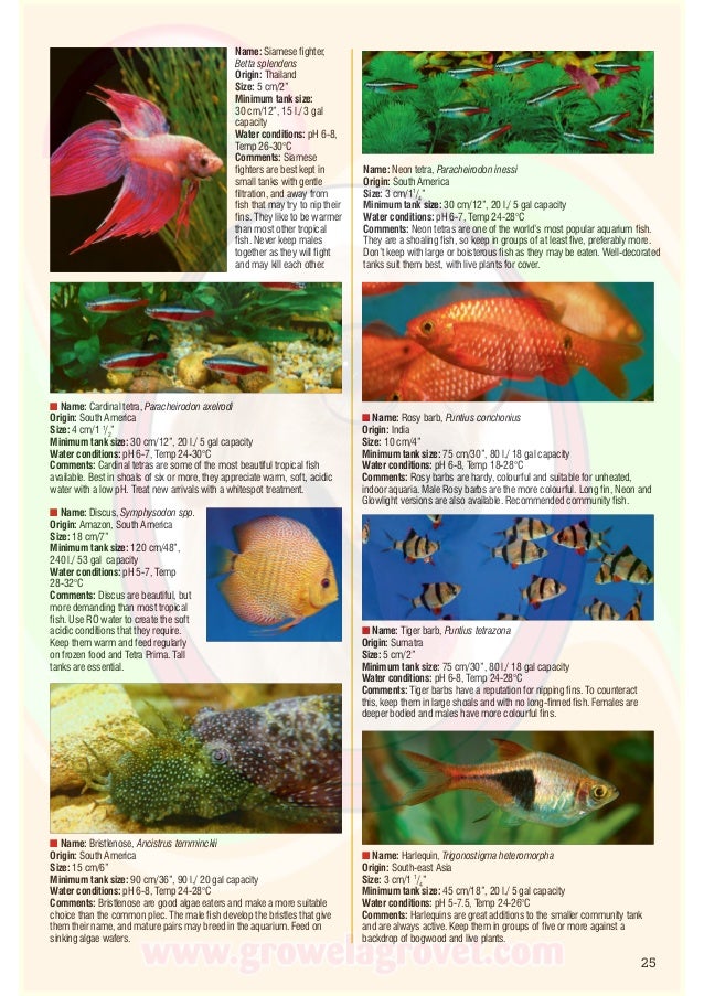 a practical guide to
