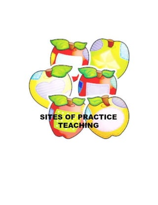 A Practice Teaching Portfolio | DOCX