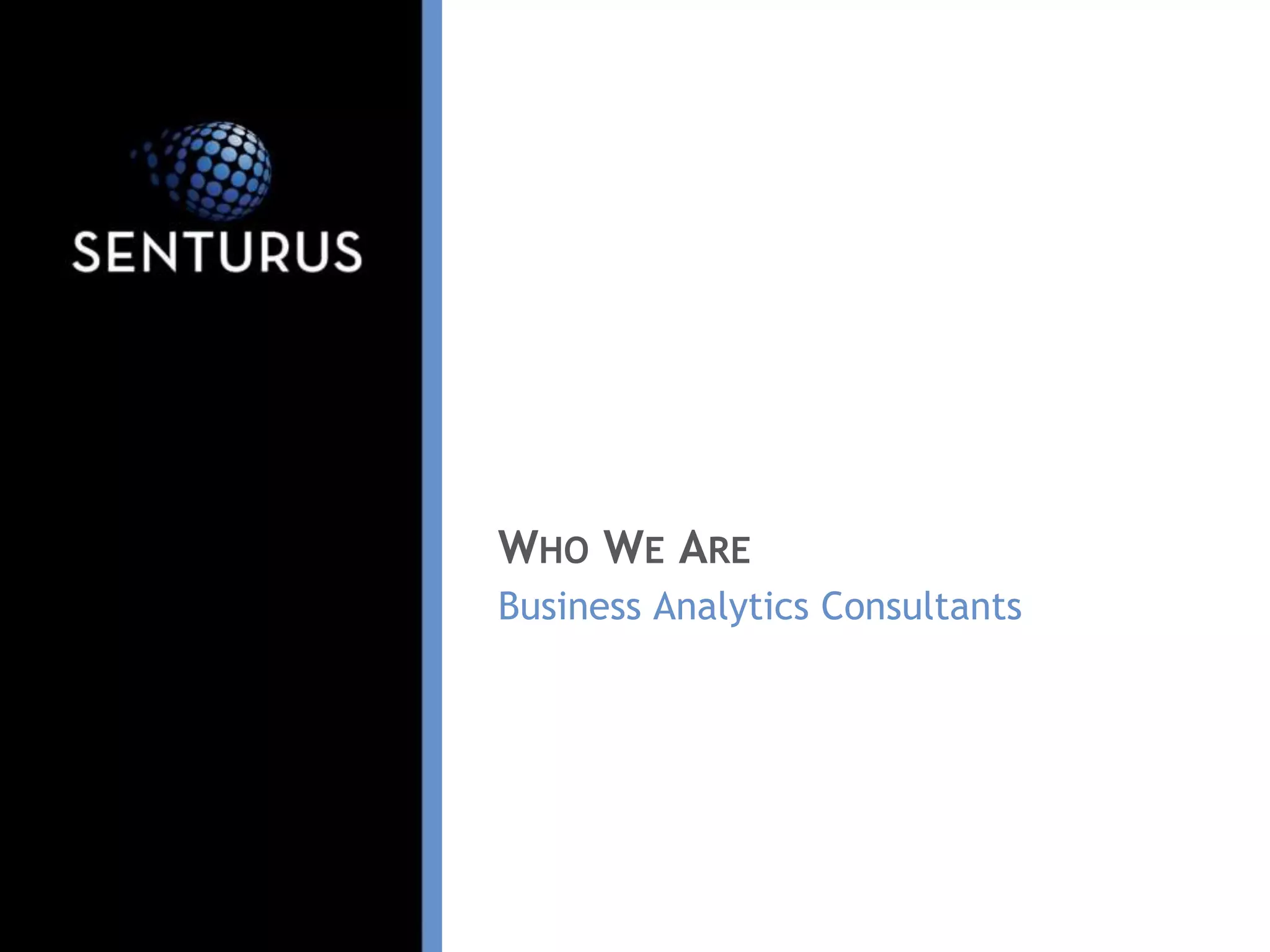Business Analytics Consultants
WHO WE ARE
 