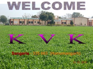 SangariaSangaria - 335 063 (Hanumangarh)- 335 063 (Hanumangarh)
1
 