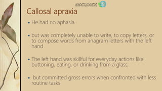 Callosal apraxia
 He had no aphasia
 but was completely unable to write, to copy letters, or
to compose words from anagram letters with the left
hand
 The left hand was skillful for everyday actions like
buttoning, eating, or drinking from a glass,
 but committed gross errors when confronted with less
routine tasks
 