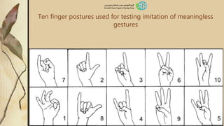 Ten finger postures used for testing imitation of meaningless
gestures
 