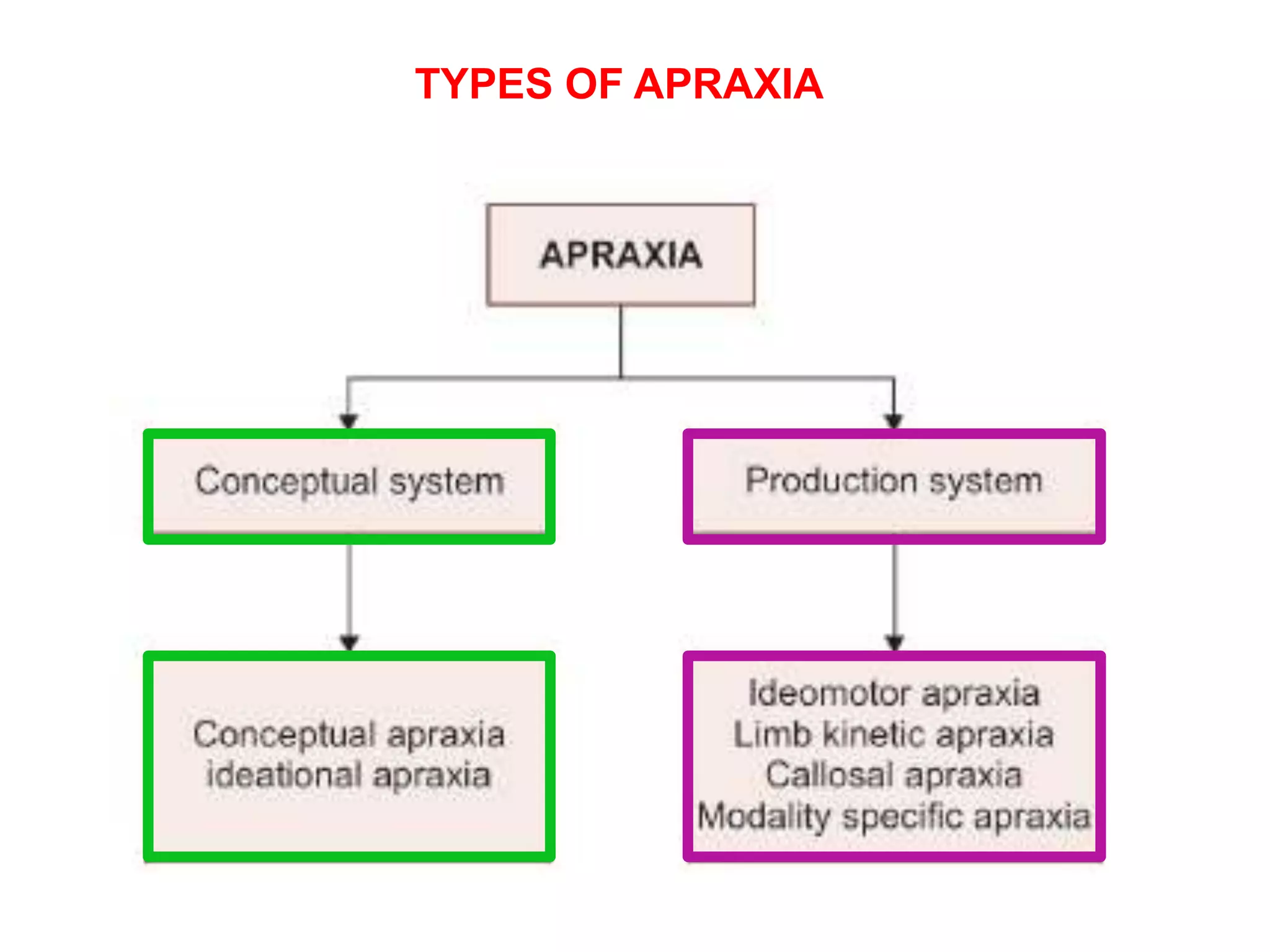 TYPES OF APRAXIA
 