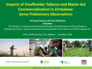 Impacts of Smallholder Tobacco and Maize–led
Commercialisation in Zimbabwe:
Some Preliminary Observations
Chrispen Sukume and Vine Mutyasira
Zimbabwe
The Dynamics of Agricultural Commercialisation, Diversification and Rural Change in
Sub-Saharan Africa: Lessons from Multi-Country Studies of the Afrint and APRA Programmes
Afrint-APRA Seminar, IDS, Brighton - 3 October 2018
Funded by UK aid from the UK Government
www.future-agricultures.org/apra
 