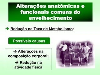 ➔ Redução na Taxa de Metabolismo:
Alterações anatômicas e
funcionais comuns do
envelhecimento
Possíveis causas
→ Alterações na
composição corporal;
→ Redução na
atividade física
 