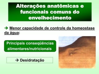 Principais conseqüências
alimentares/nutricionais
→ Desidratação
➔ Menor capacidade de controle da homeostase
da água:
Alterações anatômicas e
funcionais comuns do
envelhecimento
 