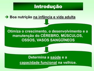 ➔ Boa nutrição na infância e vida adulta
Introdução
Otimiza o crescimento, o desenvolvimento e a
manutenção do CÉREBRO, MÚSCULOS,
OSSOS, VASOS SANGÜÍNEOS
Determina a saúde e a
capacidade funcional na velhice.
 