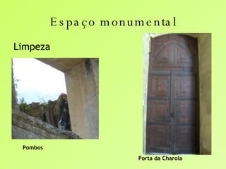 Espaço monumental <ul><li>Limpeza </li></ul>Pombos Porta da Charola 