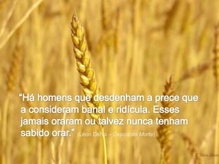 “Há homens que desdenham a prece que a consideram banal e ridícula. Esses jamais oraram ou talvez nunca tenham sabido orar.” (Léon Dénis – Depois da Morte)