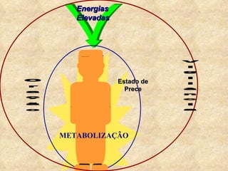 METABOLIZAÇÃO O r a ç ã o V i g i l â n c i a Energias Elevadas Estado de Prece 