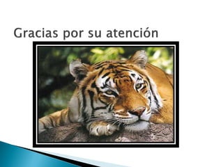 Apreciación artistica