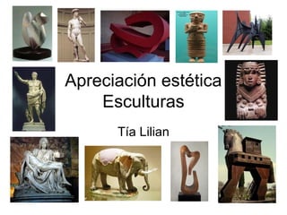 Apreciación estética
Esculturas
Tía Lilian
 
