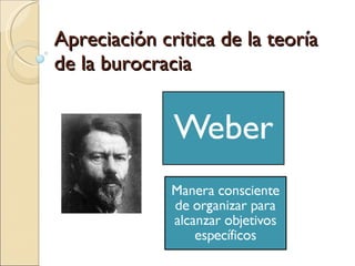 Apreciación critica de la teoría de la burocracia 