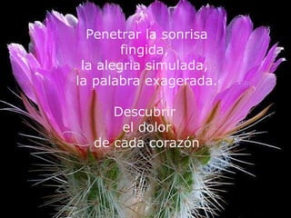 Penetrar la sonrisa
        fingida,
 la alegria simulada,
la palabra exagerada.

     Descubrir
      el dolor
  de cada corazón
 