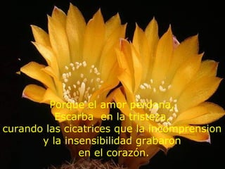 Porque el amor perdona,
          Escarba en la tristeza,
curando las cicatrices que la incomprension
       y la insensibilidad grabaron
               en el corazón.
 