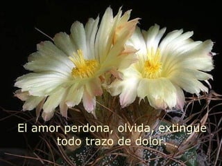 El amor perdona, olvida, extingue
      todo trazo de dolor.
 