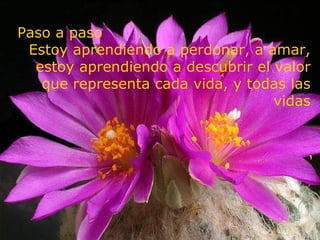 Paso a paso
 Estoy aprendiendo a perdonar, a amar,
  estoy aprendiendo a descubrir el valor
   que representa cada vida, y todas las
                                   vidas
 