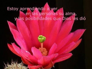 Estoy aprendiendo a ver,
         en las personas su alma,
   y las posibilidades que Dios les dió
 