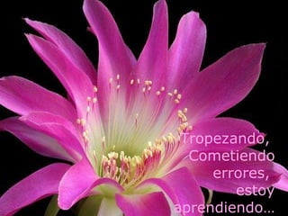 Tropezando,
  Cometiendo
     errores,
        estoy
aprendiendo…
 