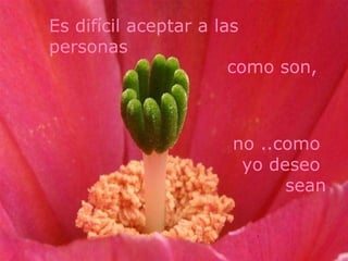 Es difícil aceptar a las
personas
                       como son,



                     no ..como
                      yo deseo
                           sean
 