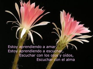 Estoy aprendiendo a amar,
Estoy aprendiendo a escuchar,
      Escuchar con los ojos y oídos,
               Escuchar con el alma
 