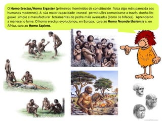O Homo Erectus/Homo Ergaster (primeiros homínidos de constitución física algo máis parecida aos
humanos modernos). A súa maior capacidade craneal permitiulles comunicarse a través dunha linguaxe simple e manufacturar ferramentas de pedra máis avanzadas (como os bifaces). Aprenderon
a manexar o lume. O homo erectus evolucionou, en Europa, cara ao Homo Neanderthalensis e, en
África, cara ao Homo Sapiens.

 