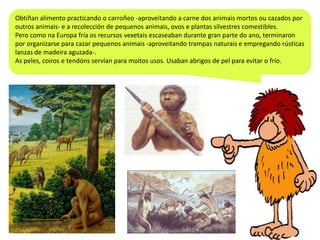 Obtiñan alimento practicando o carroñeo -aproveitando a carne dos animais mortos ou cazados por
outros animais- e a recolección de pequenos animais, ovos e plantas silvestres comestibles.
Pero como na Europa fría os recursos vexetais escaseaban durante gran parte do ano, terminaron
por organizarse para cazar pequenos animais -aproveitando trampas naturais e empregando rústicas
lanzas de madeira aguzada-.
As peles, coiros e tendóns servían para moitos usos. Usaban abrigos de pel para evitar o frío.

 