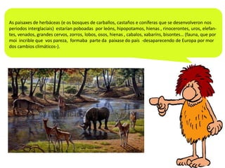 As paisaxes de herbáceas (e os bosques de carballos, castaños e coníferas que se desenvolveron nos
periodos interglaciais) estarían poboadas por leóns, hipopotamos, hienas , rinocerontes, uros, elefantes, venados, grandes cervos, zorros, lobos, osos, hienas , cabalos, xabaríns, bisontes… (fauna, que por
moi incrible que vos pareza, formaba parte da paixase do país -desaparecendo de Europa por mor
dos cambios climáticos-).

 