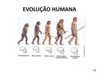 EVOLUÇÃO HUMANA
 