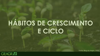 15
HÁBITOS DE CRESCIMENTO
E CICLO
Fonte: Blog da Aegro, 2025.
 