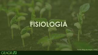 33
FISIOLOGIA
Fonte: Blog da Aegro, 2025.
 