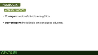 35
FISIOLOGIA
METABOLISMO C3
• Vantagem: Maior eficiência energética;
• Desvantagem: Ineficiência em condições adversas.
 
