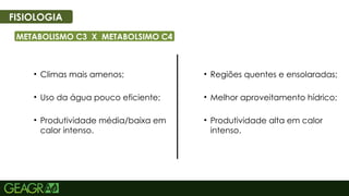 36
FISIOLOGIA
METABOLISMO C3 X METABOLSIMO C4
• Climas mais amenos;
• Uso da água pouco eficiente;
• Produtividade média/baixa em
calor intenso.
• Regiões quentes e ensolaradas;
• Melhor aproveitamento hídrico;
• Produtividade alta em calor
intenso.
 