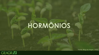 38
HORMÔNIOS
Fonte: Blog da Aegro, 2025.
 