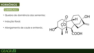 39
HORMÔNIOS
GIBERELINAS
• Quebra de dormência das sementes;
• Indução floral;
• Alongamento de caule e entrenós.
 