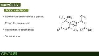 42
HORMÔNIOS
ÁCIDO ABSCÍSICO
• Dormência de sementes e gemas;
• Respostas a estresses;
• Fechamento estomático;
• Senescência.
 