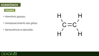 43
HORMÔNIOS
ETILENO
• Hormônio gasoso;
• Amadurecimento dos grãos;
• Senescência e abscisão.
 
